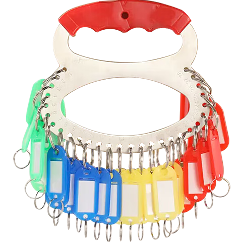 Ouliwen Key Ring Tray, Landlord Mark Number Management, Keychain Key Ring, Key Chain Key Ring, Storage Organizer, Key Classification Tool, 28 Slots with Tags