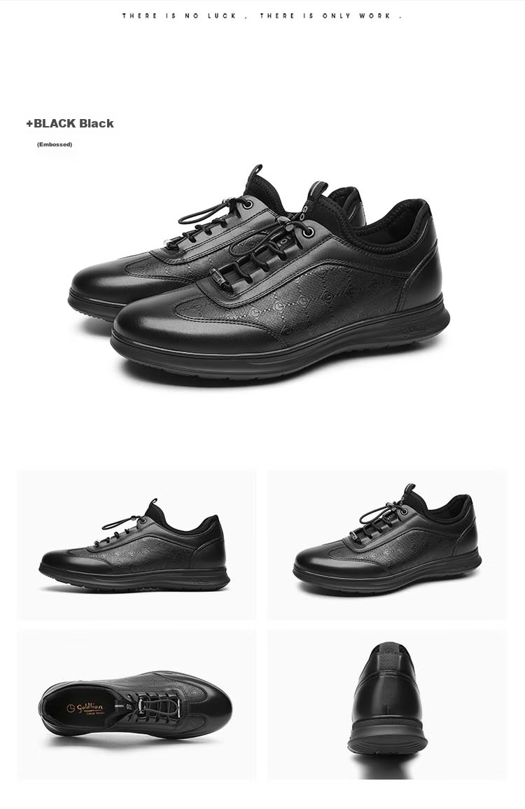 Goldlion Men's Shoes, Business Casual Shoes, Fashionable Comfortable Soft Elastic Band Leather Shoes G539410008AAA with Lining, Size 41 20