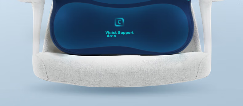 Back2 Lumbar Support Cushion for Office, Ergonomic Back Pillow, Long-Sitting Aid, Car Seat Cushion, Waist Pillow 16