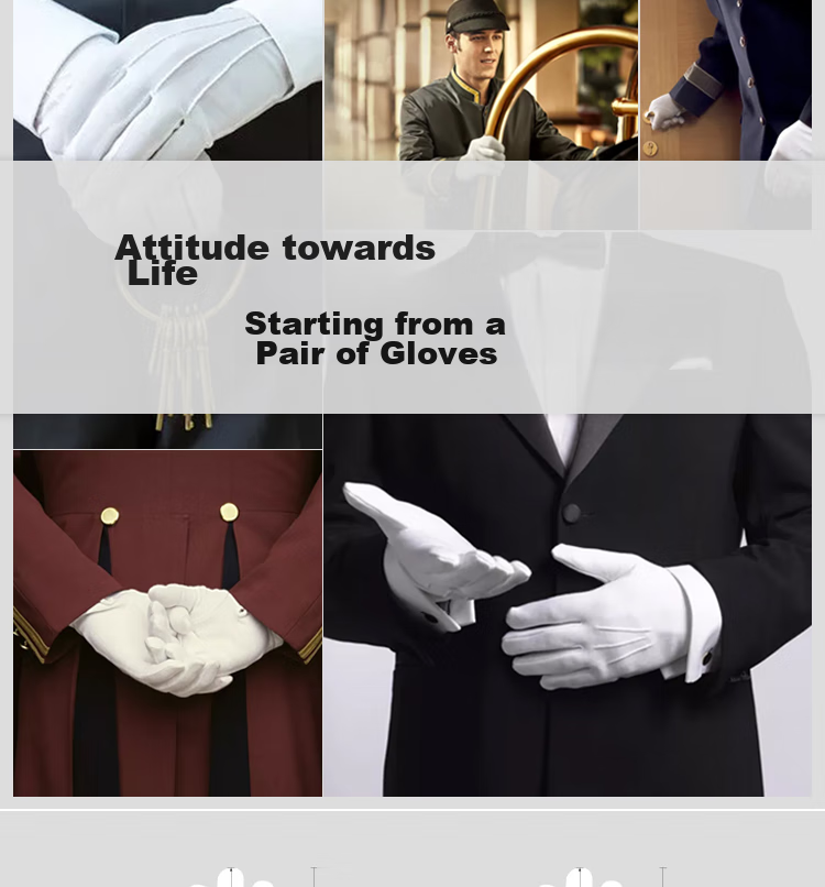 Aidier Pure Cotton White Gloves, 6 Pairs, Pure Cotton, White, for Military Parades, Collectibles, Performances, Equestrian And Traffic Etiquette, One Size Fits All, CW886169 4