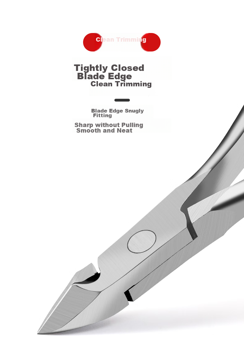 Zhangxiaoquan Stainless Steel Dead Skin Remover Pliers for Calluses And Hangnails, Professional Manicure Tool, Peacock Green H60340100 3