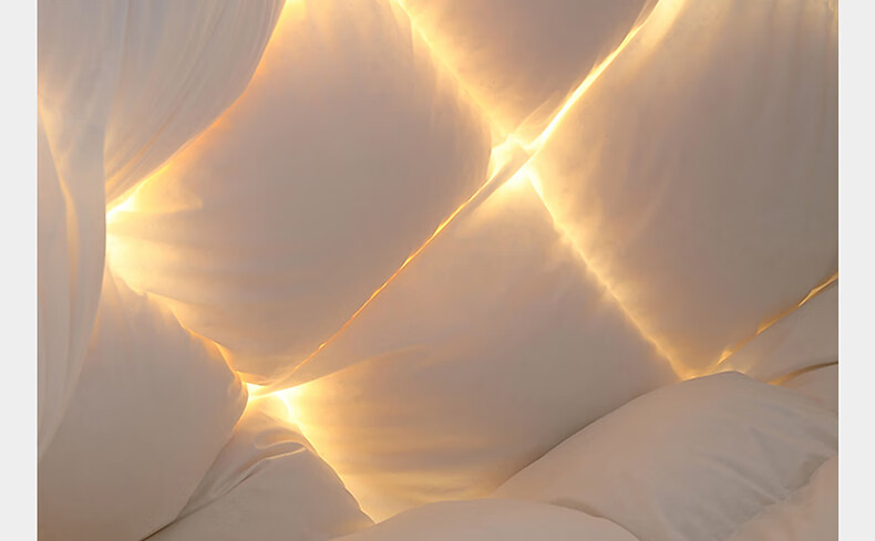 Mercury Home Textiles 95% White Goose Down Quilt Thickened Winter Double Duvet 220×240cm-1100g 11