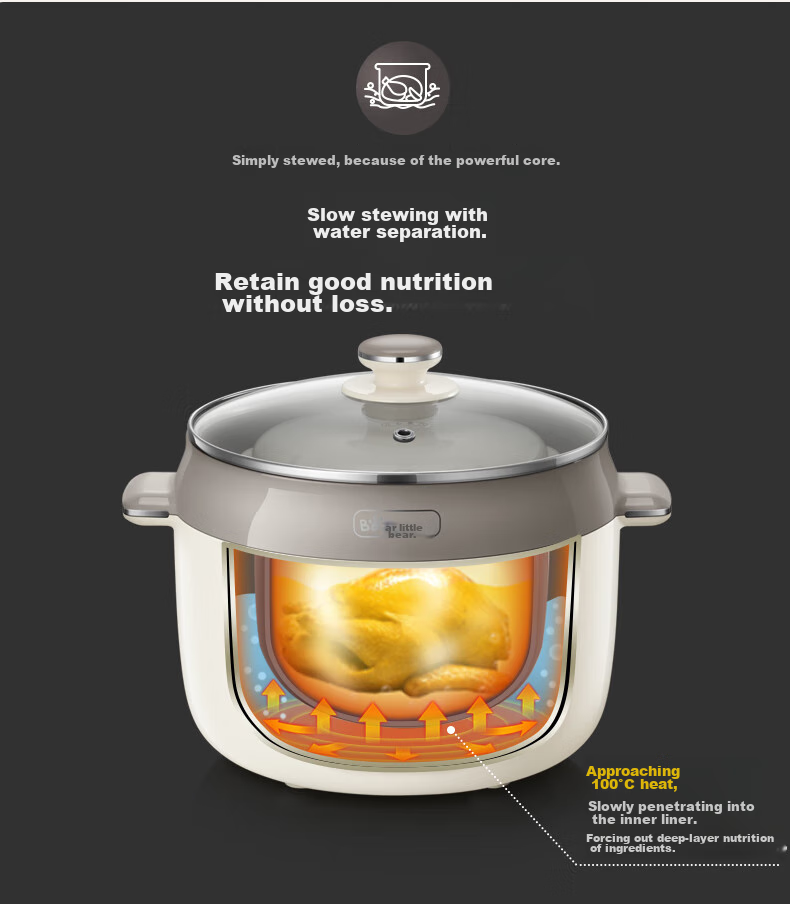 Bear Electric Slow Cooker, Soup Pot for 3-4 People, Stew Pot, Bird's Nest Cooking Pot, Soup Stewing Pot, Baby Food Cooker, DDZ-C25X6 4L with Steamer Basket 9