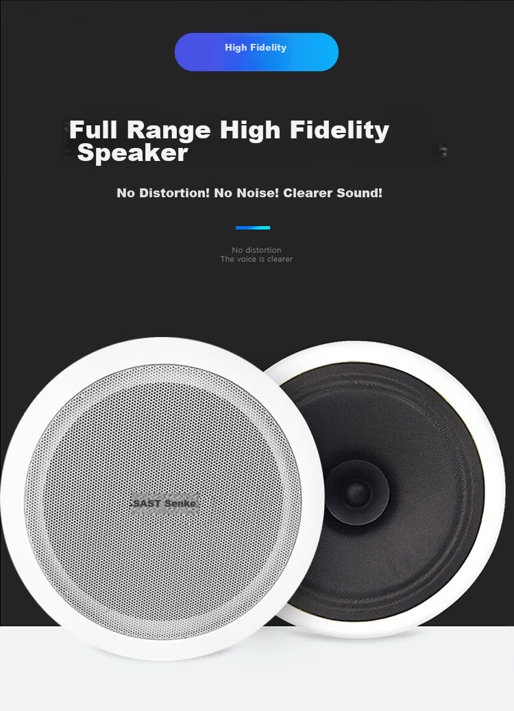 SAST 5-Inch Ceiling Speaker Set with Bluetooth Constant Voltage Amplifier, Recessed Ceiling Speakers for Commercial Shops, Meetings, Public Addressing, Background Music, Home Living Room Speaker Combinatio 9