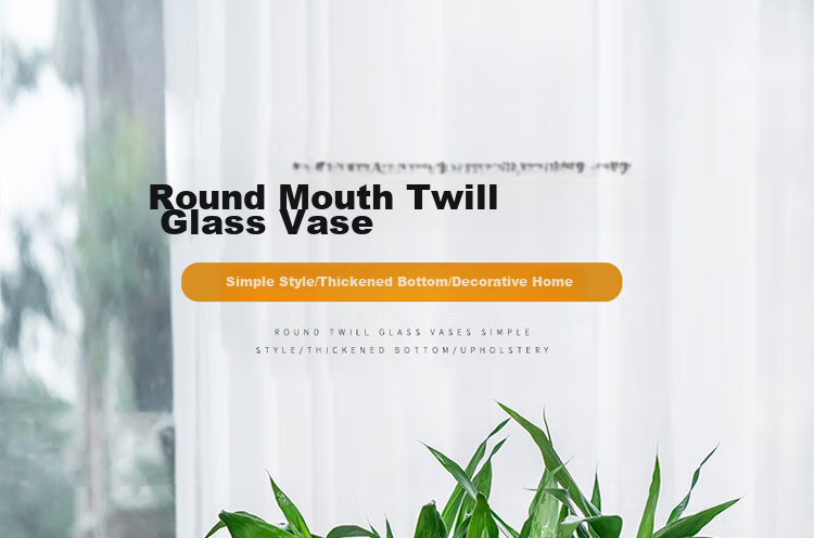 Jidukongjian Glass Vase, Living Room Decoration, Desktop Ornament, Hydroponic Flower Arrangement, Transparent Glass Vase, Diamond-Shaped, Lucky Bamboo 1
