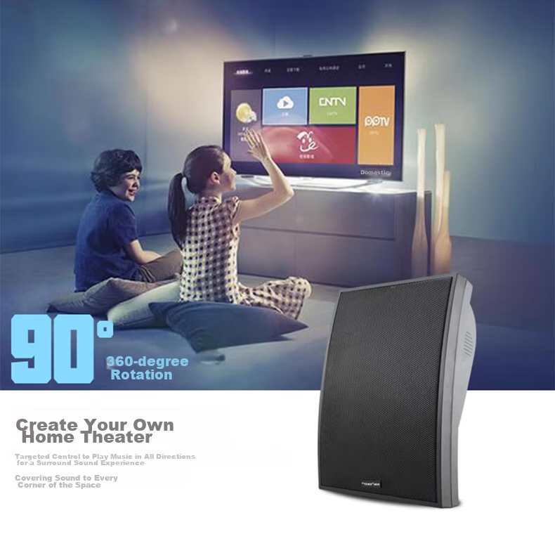 SAST DW70 Constant Voltage Wall-Mounted Speaker, 30W, for Meetings, Shops, Commercial Use, Engineering, Passive Conference Rooms, Dance Studios, Home Use, Background Music, Public Address System Speakers, Black 8