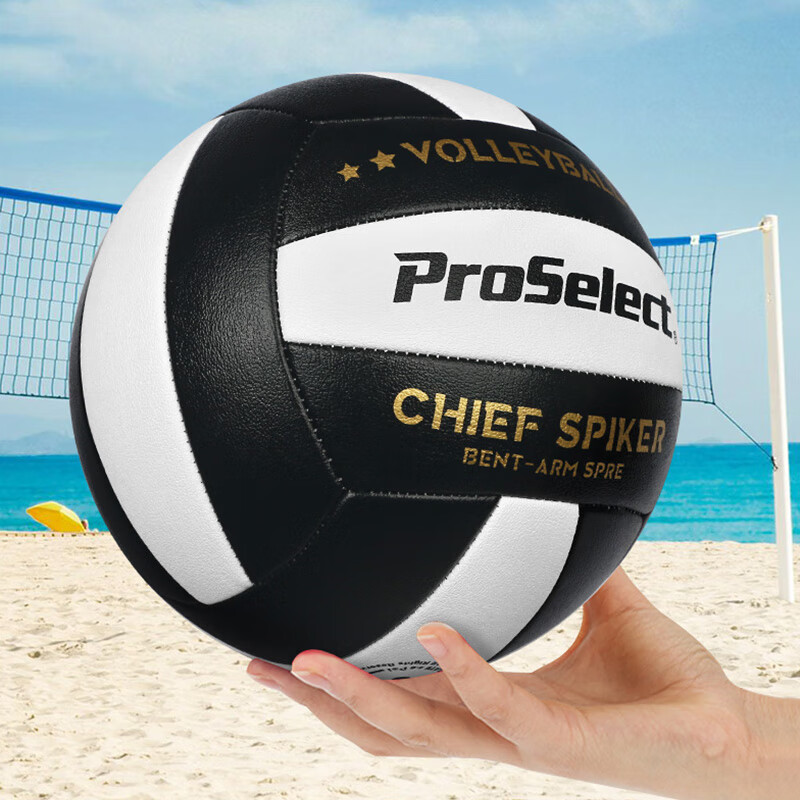 ProSelect Volleyball, Size 5, Standard Competition, Wear-Resistant, Machine-Stitched PU, Student Training, High School Entrance Exam, Hard Volleyball, GV431M
