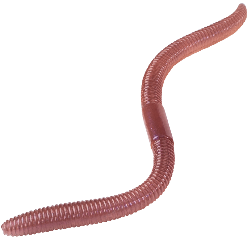 Guowangluya Lure Soft Bait for Loach Fishing, Thin Earthworm Lure for Black Pit Bass And Wild Fishing, Artificial Bait 120mm-02 Drunken Red
