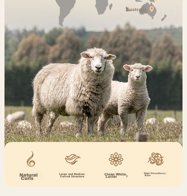 LOVO Luolai Home Textiles, 100% Australian Wool Winter Comforter, 4 Jin (2 Kg), 150*215cm 5