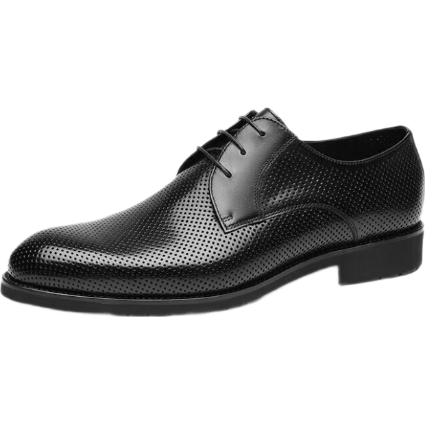 Goldlion Men's Formal Perforated Breathable Leather Shoes, Comfortable Derby Shoes, 502740432ADD, Black, Size 41