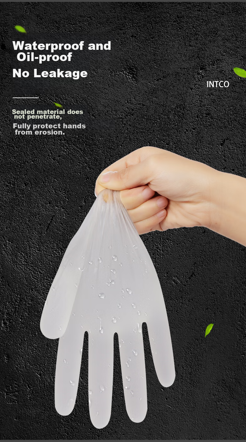 INTCO Disposable PVC Gloves, Household Cleaning And Dishwashing Gloves, Thickened And Durable, 100 Pieces/box, XL Size 6