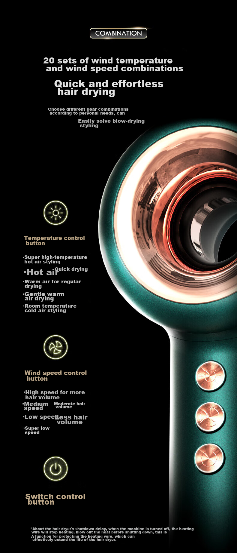 LANSAM Hair Dryer, Home Use, Plasma Hair Protection, High-Speed, Strong Airflow, Gentle on Hair, Negative Ion Electric Blower, Birthday Gift, Standard Edition - Elegant Gree 15