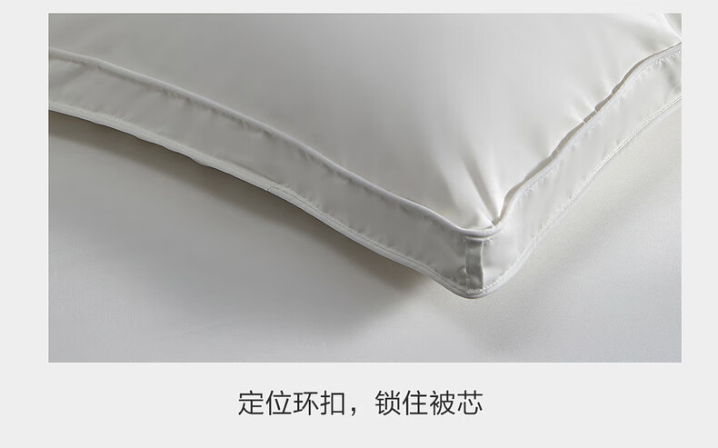 Mercury Home Textiles 95% White Goose Down Quilt Thickened Winter Double Duvet 220×240cm-1100g 33