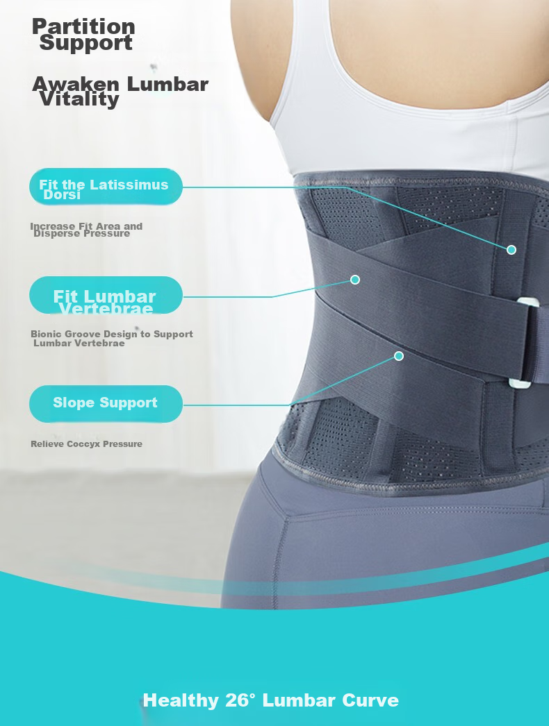 AIRPOP Back Support Belt for Herniated Disc, Lumbar Muscle Strain, And Lumbar Disc Protrusion - Summer Medical Lumbar Brace for Prolonged Sitting 8