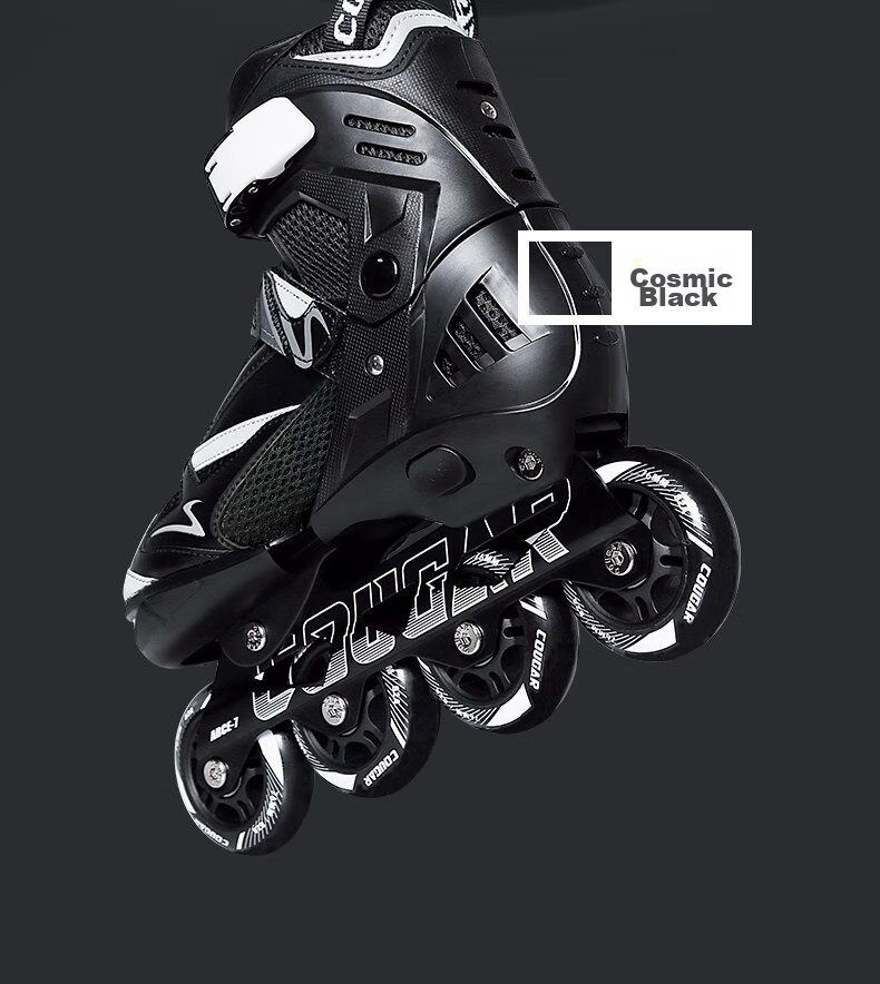 COUGAR Adult Adjustable Casual Roller Skates for Street Skating And Ice Skating, Black, Size L 6
