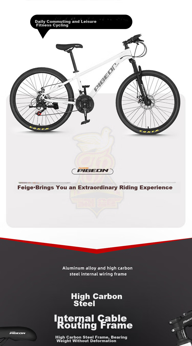 FG FLYING PIGEON Bicycle for Older Children, 21-Speed Mountain Bike, Youth Shock-Absorbing Bicycle, Student Pedal Bike, 26-Inch, Gray 3