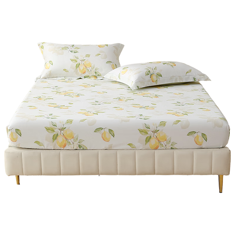 Mercury Home Textiles 100% Cotton Printed Fitted Sheet A-Class Dormitory Mattress Protector for 1.5m Bed