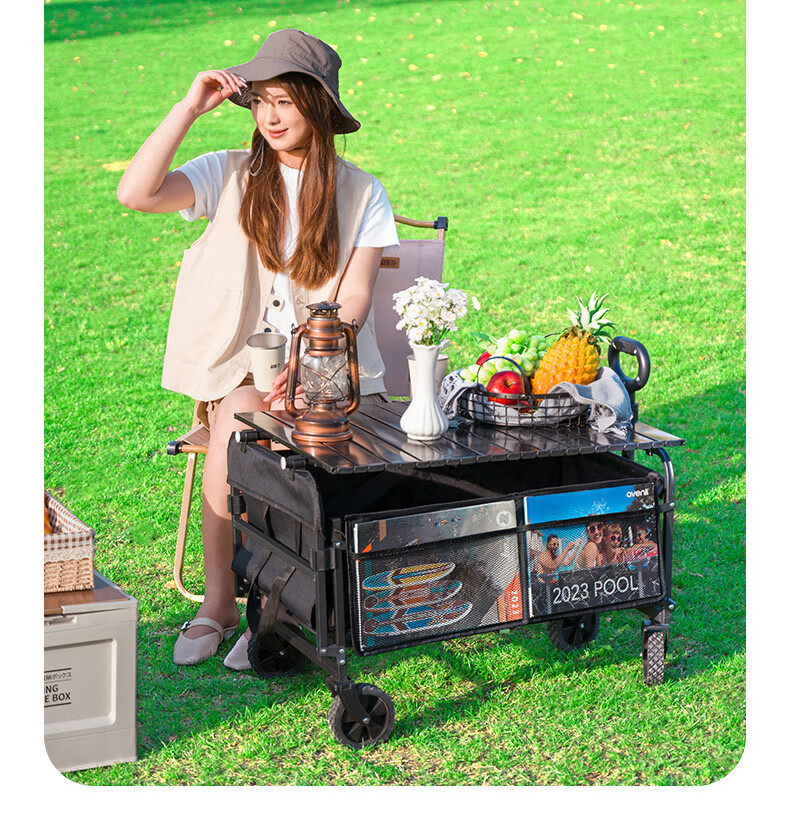 TAN XIAN ZHE Camping Cart, Small Pushcart with Rear Opening for Reclining, Suitable for Kids, Grocery Shopping, Dogs And Pets 14