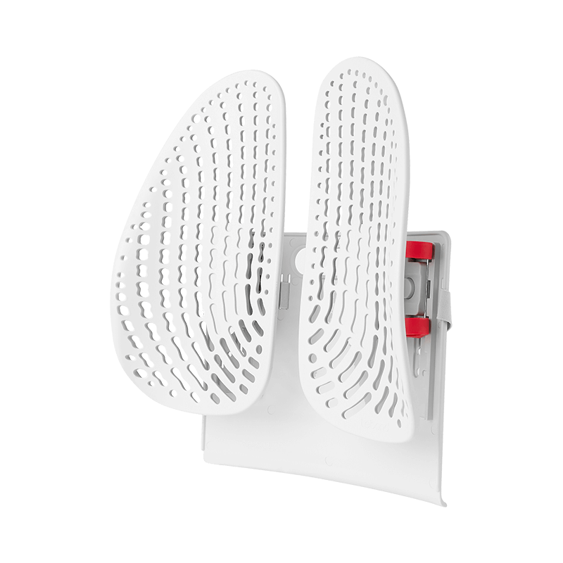 Leban Ergonomic Lumbar Support Cushion, Back Support Pillow for Long Sitting, Office Waist Pad, Classic Cool Style