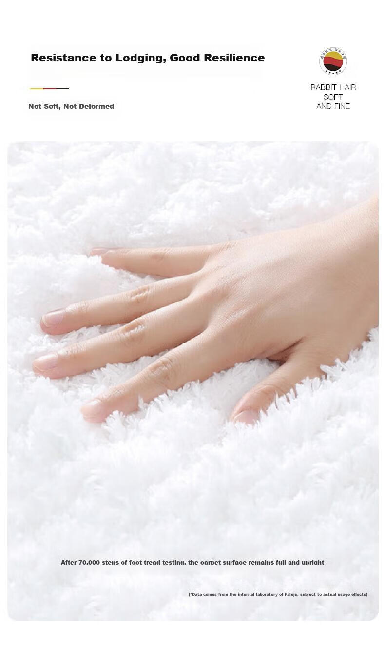 FARLEEHOMES Bathroom Mat, Absorbent Bath Mat, Toilet Entrance Foot Mat, Bedroom Living Room Carpet, Hotel Floor Towel 6