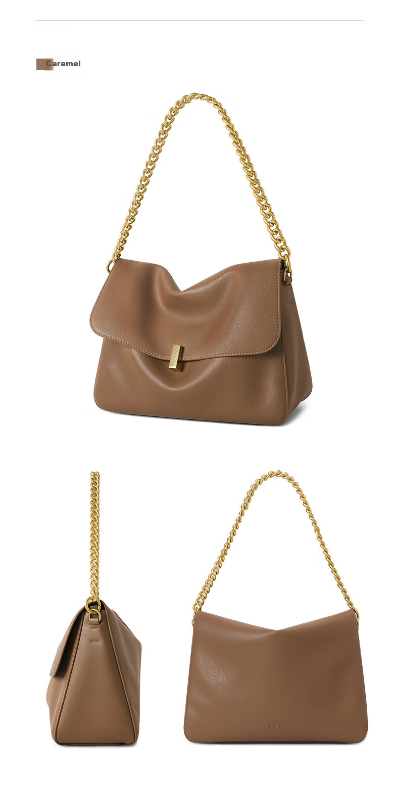 CASSILE Women's Handbag, Tote Bag, Large Capacity, Luxury Shoulder Crossbody Underarm Bag, Gift for Women on May 20th 23