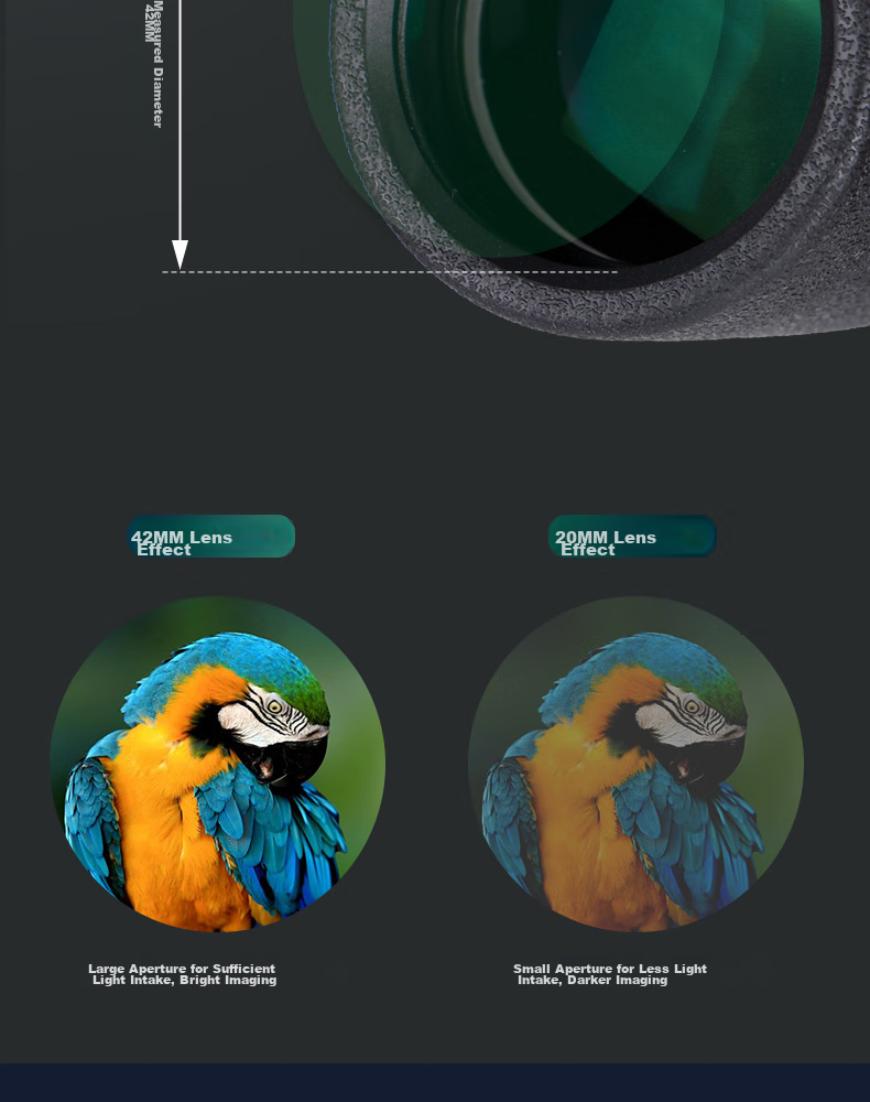 StarMICRO Binoculars 10x42 Waterproof High Magnification High Definition for Outdoor Children's Bird Watching And Photography, Concert Viewing 6