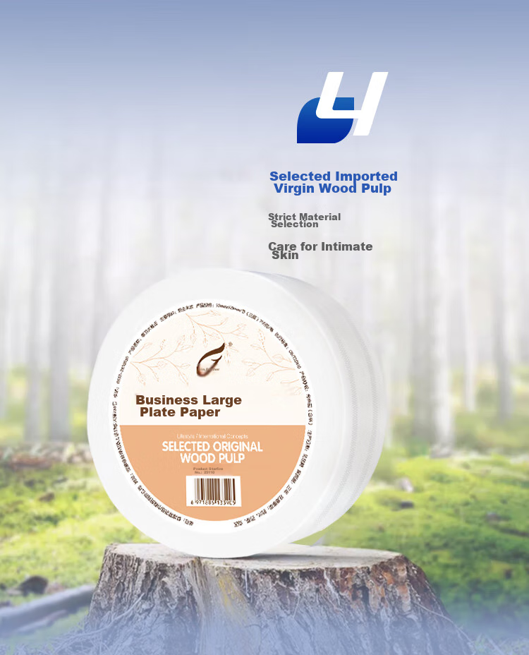 Feiyu Large Core Roll Toilet Paper, 4-Ply, 650g*12 Rolls, Commercial Use, Thick And Absorbent, Hotel Bathroom Tissue, Whole Box F650 10