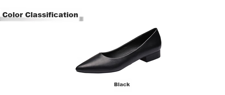 CARTELO Women's Leather Shoes, Pointed Toe Work Shoes, Low Heel Commuter Flats, KDO-A335 Black, Size 34 4