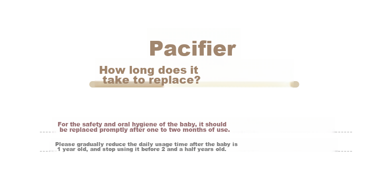 Pigeon Pacifier, Silicone Rubber Nipple, Size L, 6-18 Months (Simple Style), with Storage Box N1017 18