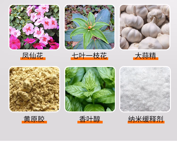 详情图.png