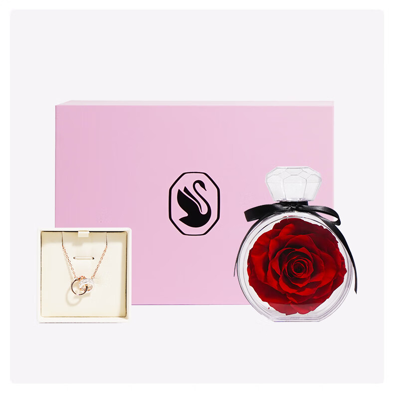SWAROVSKI CONNEXUS Necklace for Women Birthday Gift for Girlfriend 5741332 16