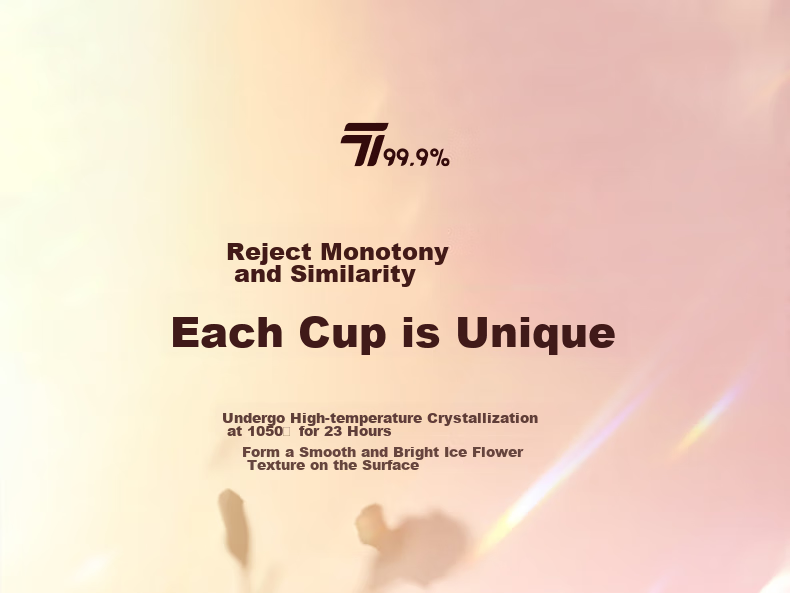 SIMELO Pure Titanium Insulated Tea Brewing Cup for Men and Women, Titanium Water Bottle, Birthday Gift, 450ml 19