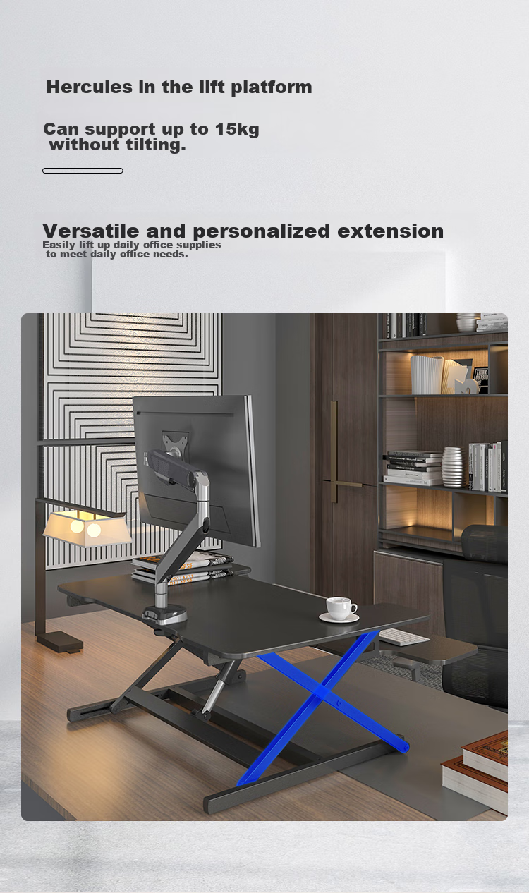 Loctek Height Adjustable Computer Desk, Standing Desk, Electric Lift Desk EM2M Elegant Black 20