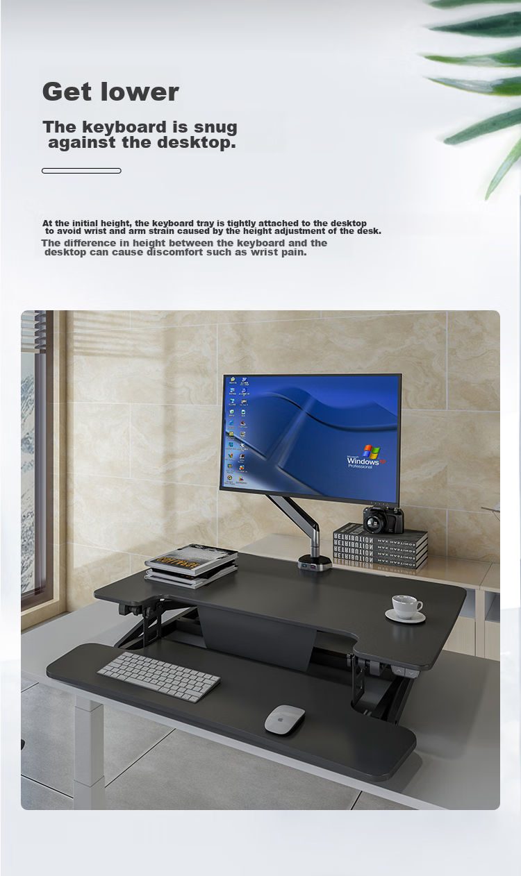 Loctek Height Adjustable Computer Desk, Standing Desk, Electric Lift Desk EM2M Elegant Black 16