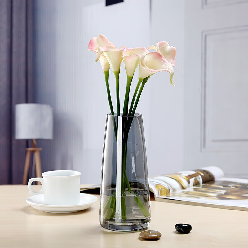 Shengshi Taibao Glass Vase Transparent Water Plant Container Flower Arrangement Vase Living Room Table Smoke Gray 22cm