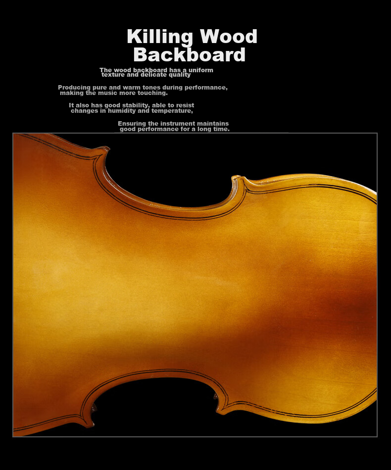 Minsine Handmade Solid Wood Violin 4/4 Size Adult Beginner Student Entry-Level Performance Instrument 8