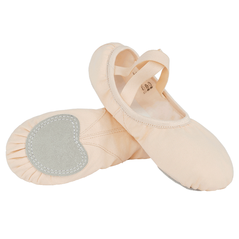 Aiwu Ge Professional Dance Shoes Women Soft Sole Practice Shoes Elastic Ballet Shoes Teacher Cat Claw Shoes Ballet Pink Size 34