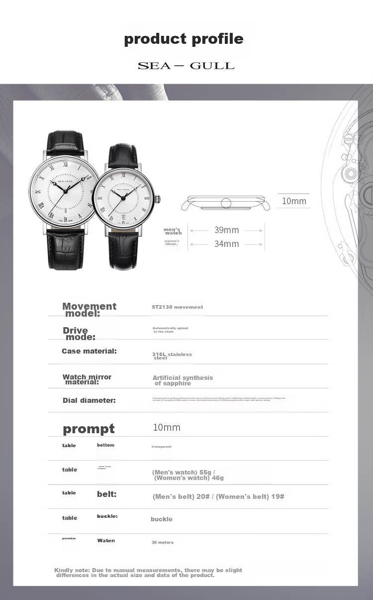 SEAGULL Men's Automatic Mechanical Watch, Bauhaus Date Display Men's Watch, Birthday Gift for Men, Model 6091 33