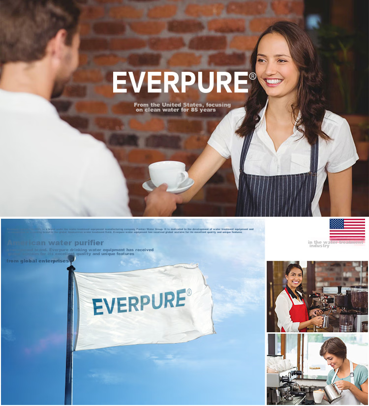 Everpure Kitchen And Restaurant Instant Water Dispenser, Filter And Drink Instantly, Zero Electricity, Zero Waste Water, 3 Liters/minute, 3000L Water Production Capacity, Commercial Water Purifier Twin MH2-Plus 26