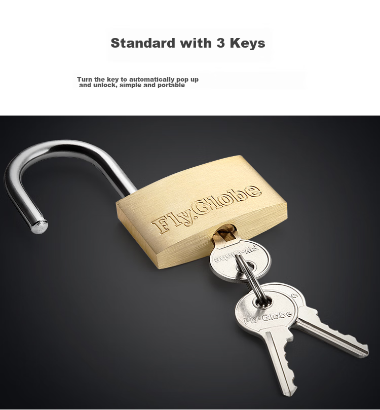 Fly.Globe Brass Padlock, Waterproof And Rust-Resistant Lock, Door Lock, Drawer Lock, Cabinet Lock, Anti-Theft Window Lock, 30MM 12