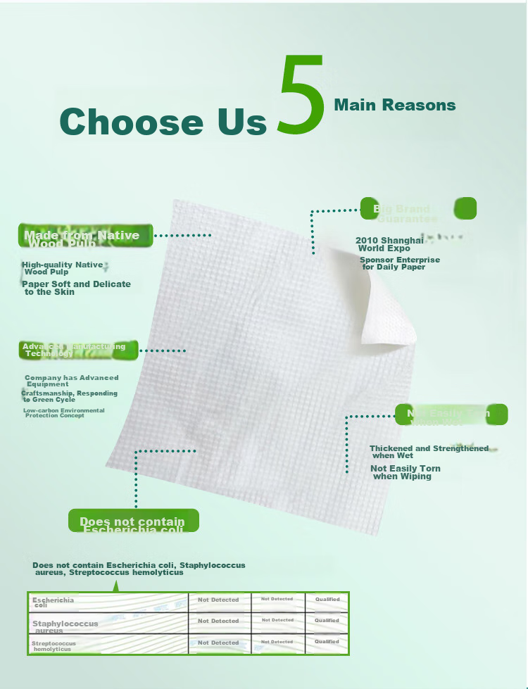 Hygienix Commercial Hand Towels, Elegant Design, 200 Sheets * 20 Packs, Tri-Fold Large Size, 36 GSM Absorbent Hand Towels, Toilet Paper 2