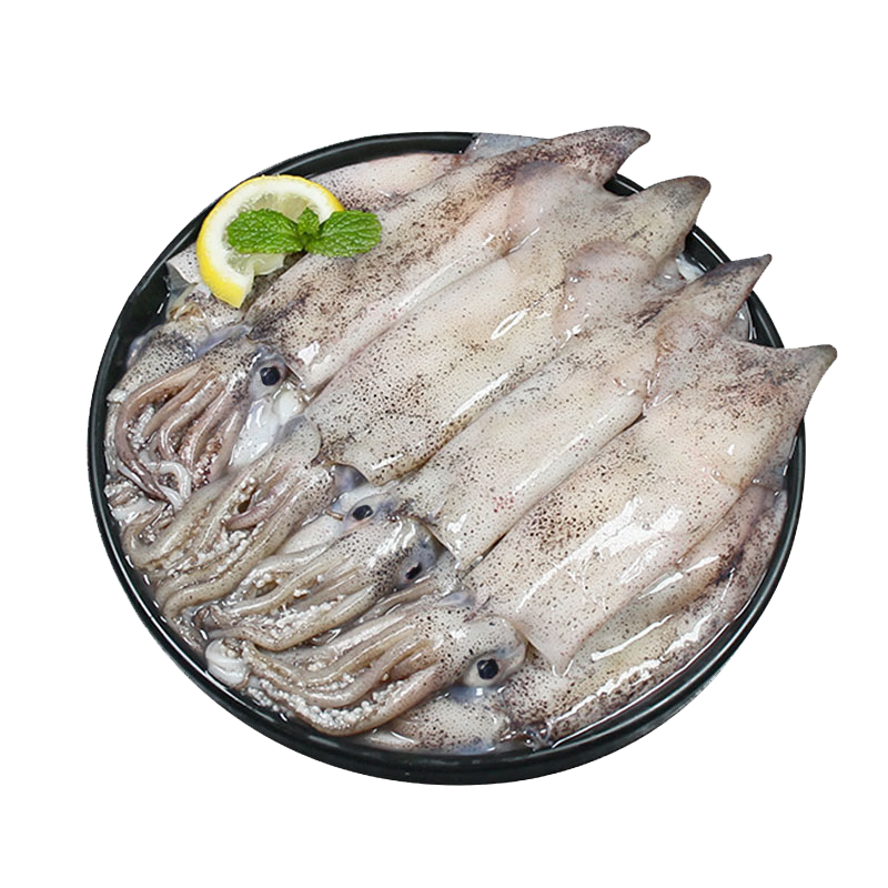 富海锦鲜冻笔管鱿鱼1斤鱿鱼 海兔子 墨斗鱼 火锅烧烤食材海鲜生鲜软足类