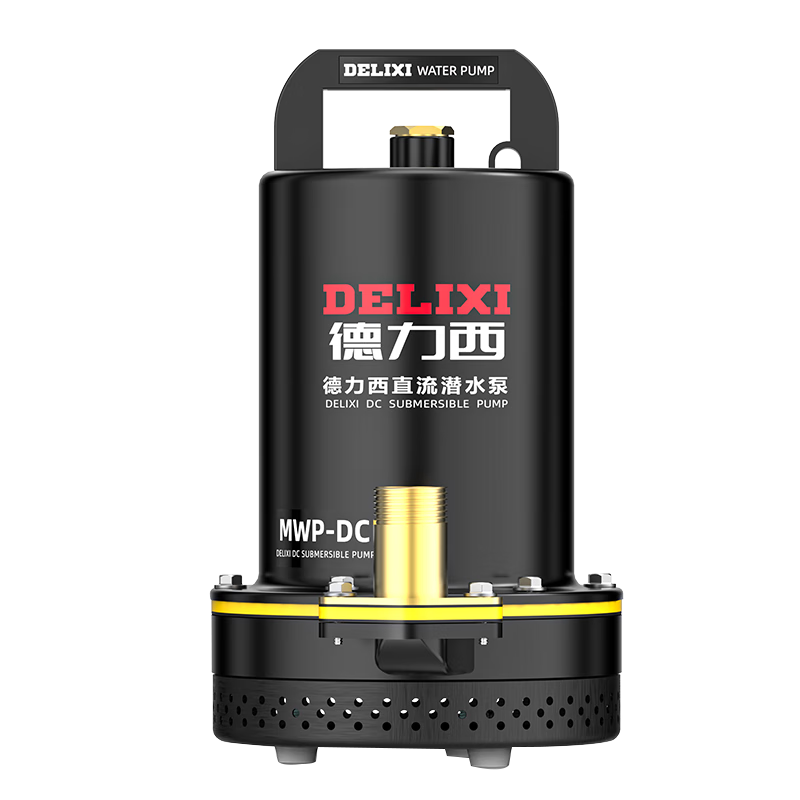 Delixi DC Submersible Pump Agricultural Water Pump Electric Vehicle Water Pump Household High Lift Well Small Water Pump