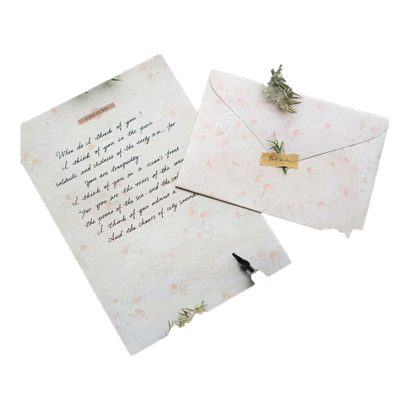 Shiluode B5 Love Letter Set with Envelopes And Stationery, Fresh Student Handwritten Love Notes, 6 Sheets of Paper And 2 Envelopes with Sealing Stickers (Floral Print)