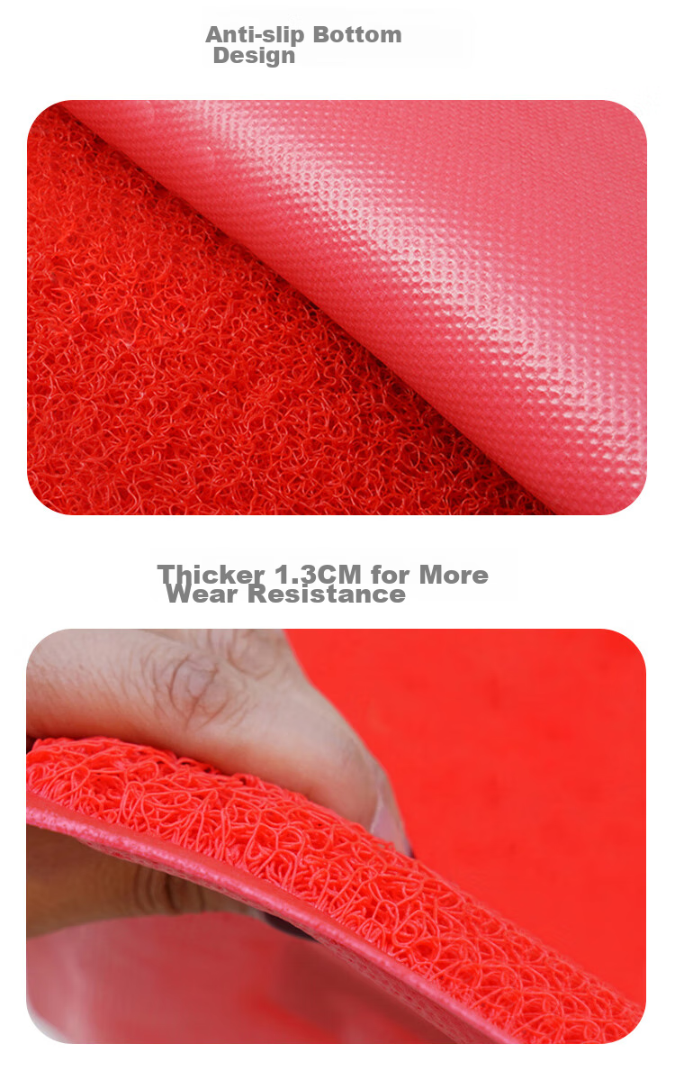 DIYIN Safe Entry And Exit Doormat Ingot 80*120cm, Entrance Floor Mat, Doorway Foot Mat, Silk Loop Welcome Non-Slip Mat 12