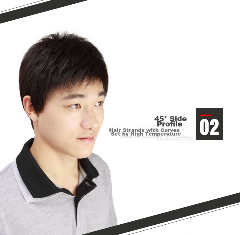 Baisitang Men's Short Hair Wig, Middle-Aged Man's Crew Cut, Short Straight Hair Full Head Cover, 100% Real Human Hair, Bald Head Wig Cover, Real Hair 7