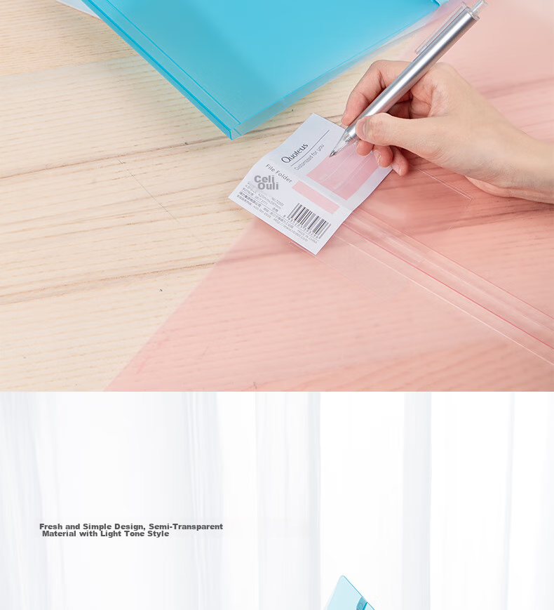 Deli A3 Folding Exam Paper Folder File Organizer, Simple And Stylish Student Subject Storage Organizer with Folded Structure, Exam Paper Classification, Mixed Random Colors, 72551 5