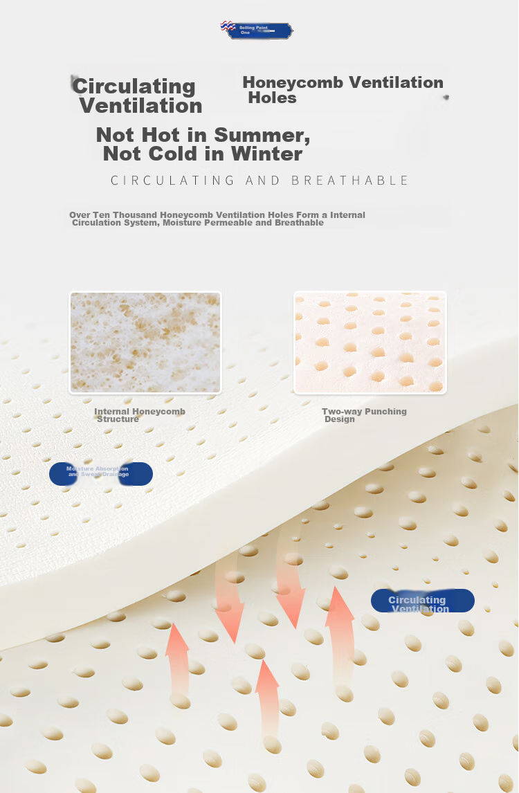 Paratex ECO Latex Mattress, 94% Content Thai Imported Natural Latex Core, Thickened Pad, 1.5x2 Meters, 7.5cm Thick 8