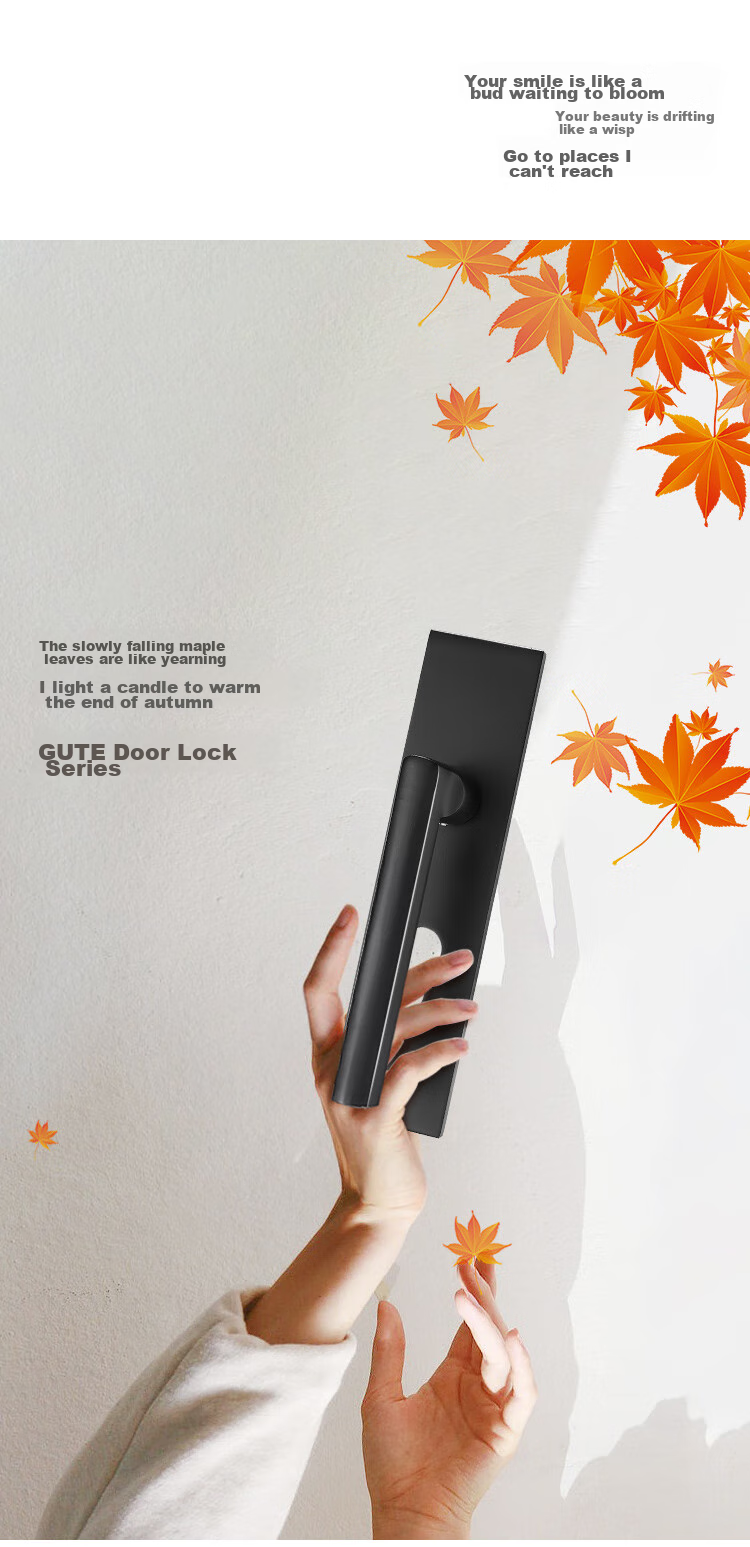 GUTE Door Lock, Interior Bedroom Door Lock, American Black Bathroom Solid Wood Door Handle, Home Lock Hardware 4