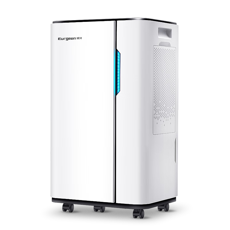 Eurgeen Dehumidifier, Dehumidification Capacity 20 Liters Per Day, Suitable Area 40 Square Meters, Home Basement Quiet Purifying Clothes Drying Moisture Absorber OJ-231E New And Old Versions Shipped Randomly